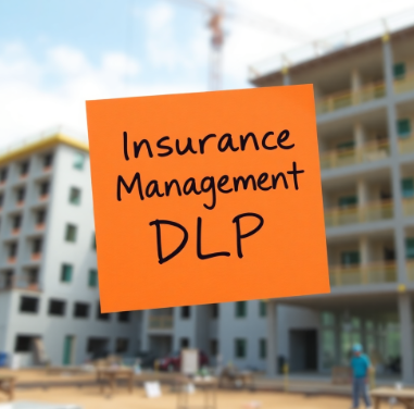 Insurance Management DLP